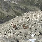 With A Beautiful View