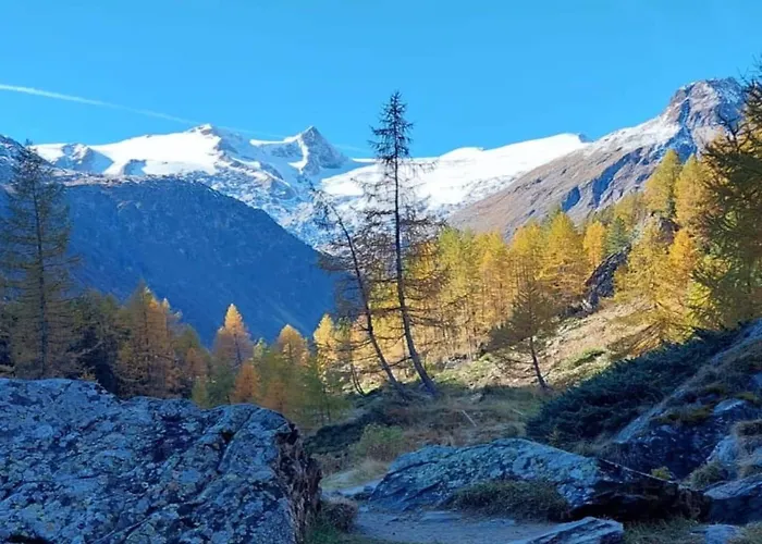 With A Beautiful View 公寓 Neukirchen am Großvenediger